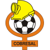 CD Cobresal Logo
